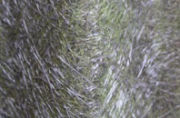 Welham Bridge fibreglass roof work